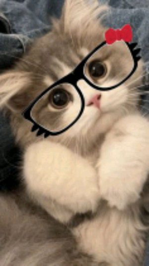 мужикам не входить