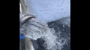 Выходные в Пирогово!