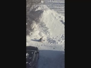 - 30 Вот и оделась потеплее - 30 So I dressed warmer.