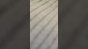 как я готовлюсь к 8 марта