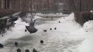 "  А снег идет , а снег  ... "  Музыкальная шкатулка