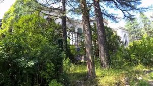 Грузия 2024 #3