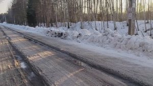 По снегам лесным...\авторская песня\