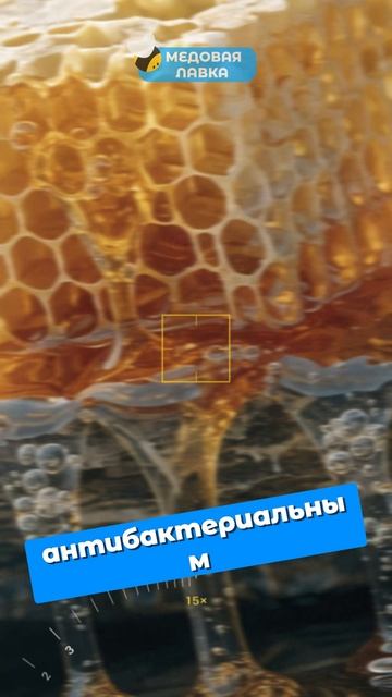 Что полезнее МЁД в сотах или из банки! 🍯🥄 #пчелы #факты #здоровье #мёд #пчеловодство
