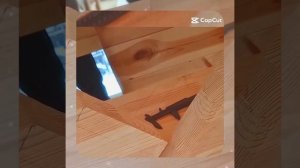 1000050781.mp4 (Собака наблюдает за устройством лестницы на 2-ой этаж в доме А-фрейм)