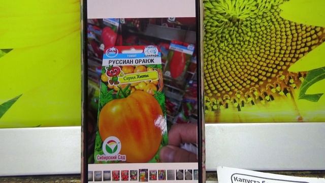 ПОСЕВЫ 2026-48.  Посетила семенной магазин.