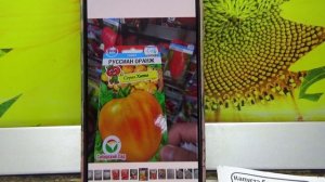 ПОСЕВЫ 2026-48.  Посетила семенной магазин.