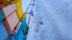 Так я ещё пчёл никогда не выставлял.Супер приспособление.