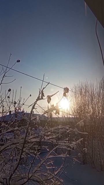 😍 Русская зима всегда внезапная и непредсказуемая ❄️ (07.03.26г) 🥰