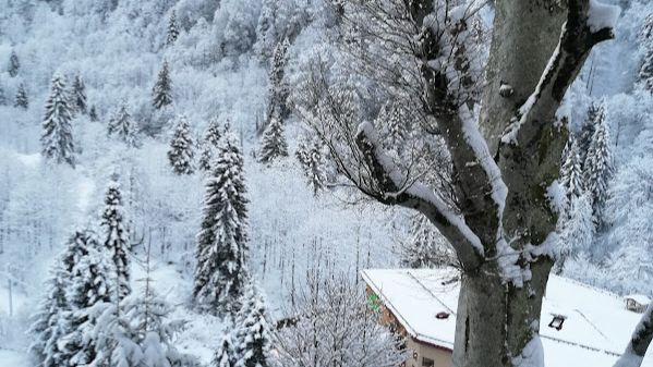 И маленьких успехов рапсодия!