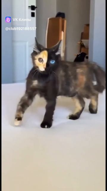 природа раскрасила!