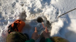 Рыбалка на реке Луза. Наловил живца. Проверка работы фонарей, минус один.