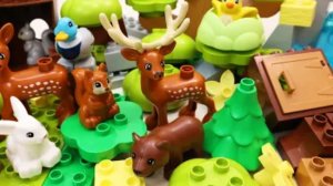 Конструктор Лего со зверюшками, ищут свой новый домик,изучают свой дом для детей.#дети#видеодлядетей