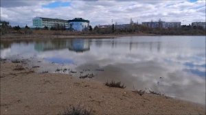 Новости с пляжей Любимовки Горизонт и Любимовка-1 за 7.03.2026г.