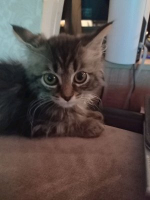 играю в самый мерзкий мод в мире