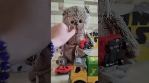 влог с басиками