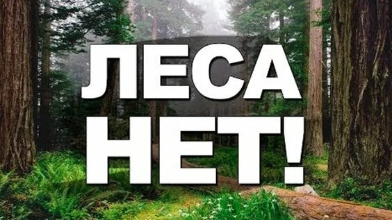 Леса НЕТ❗👆🧐😲