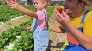 Влад и Ники - Алиса с дядей собирают клубнику