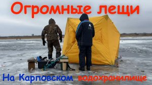 ОГРОМНЫЕ ЛЕЩИ на Карповском водохранилище !