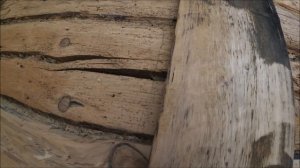 Лесной хутор/Решила проблему с некрасивым бревном. Тара отелилась.