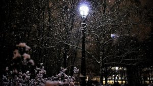 Снег падал, как же спето, показано красиво, смотреть и слушать для души, затронет струны непременно