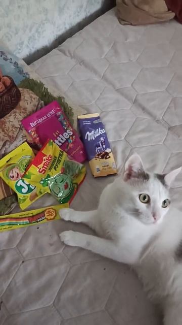 охранник года