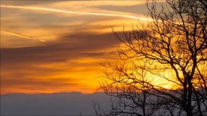 8 Марта - Последний шанс изменить судьбу.