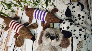 Влог 9/2026. Собачья жизнь😅