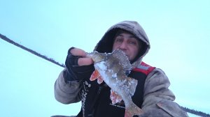 Ловля окуня на вибы. Рыбалка на тундровом озере..