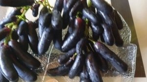 Сигналки Аватара