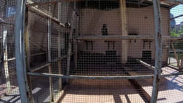 Грузия 2024 #4