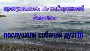 № 999 прогулялись по набережной Алушты // послушали собачий дуэт)))