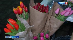 В Белгороде продолжает работу сельскохозяйственная ярмарка