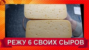 Режу свои сыры 6 сортов перед праздниками/Залипательное видео под музыку