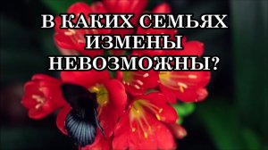 В КАКИХ СЕМЬЯХ ИЗМЕНЫ НЕВОЗМОЖНЫ? Или настоящая любовь - это всего лишь миф?