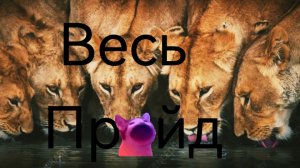 Все львы  🦁