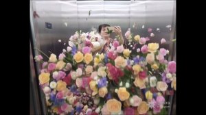 ПОЗДРАВЛЯЮ С 8 МАРТА.