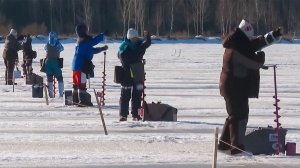 Чемпионат России по ловле на мормышку со льда среди женщин проходит в Ленинградской области