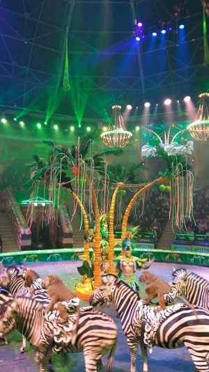 Побывала на премьере 🎪 Зрители были в шоке #влог #цирк #circus