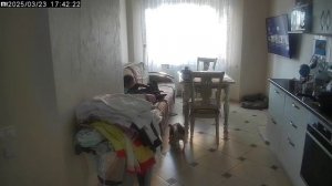 что делает аня пока никого нету дома