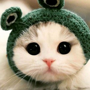 ❤️🩹Вика ❤️🩹