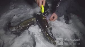 Зимняя ночная рыбалка _ крупный налим