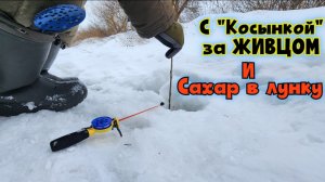 ⚡️Наловили живца-красноглазку на "косынку" и Сахар в Лунку⚡️ Рыбалка зимняя - живец кончился !
