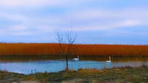 Кемпинг. Утро.Холодно , но красиво!