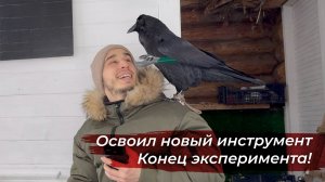 Закончили эксперимент со зрением! Ворон научился пользоваться инструментом