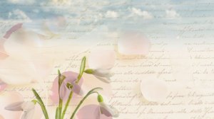 С Женским днём. С праздником.