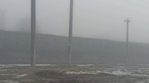 поезд в тумане