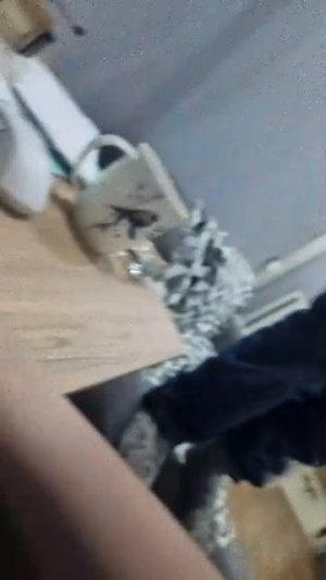 БМНГ С АНДРЕЕМ И КОСТЕЙ