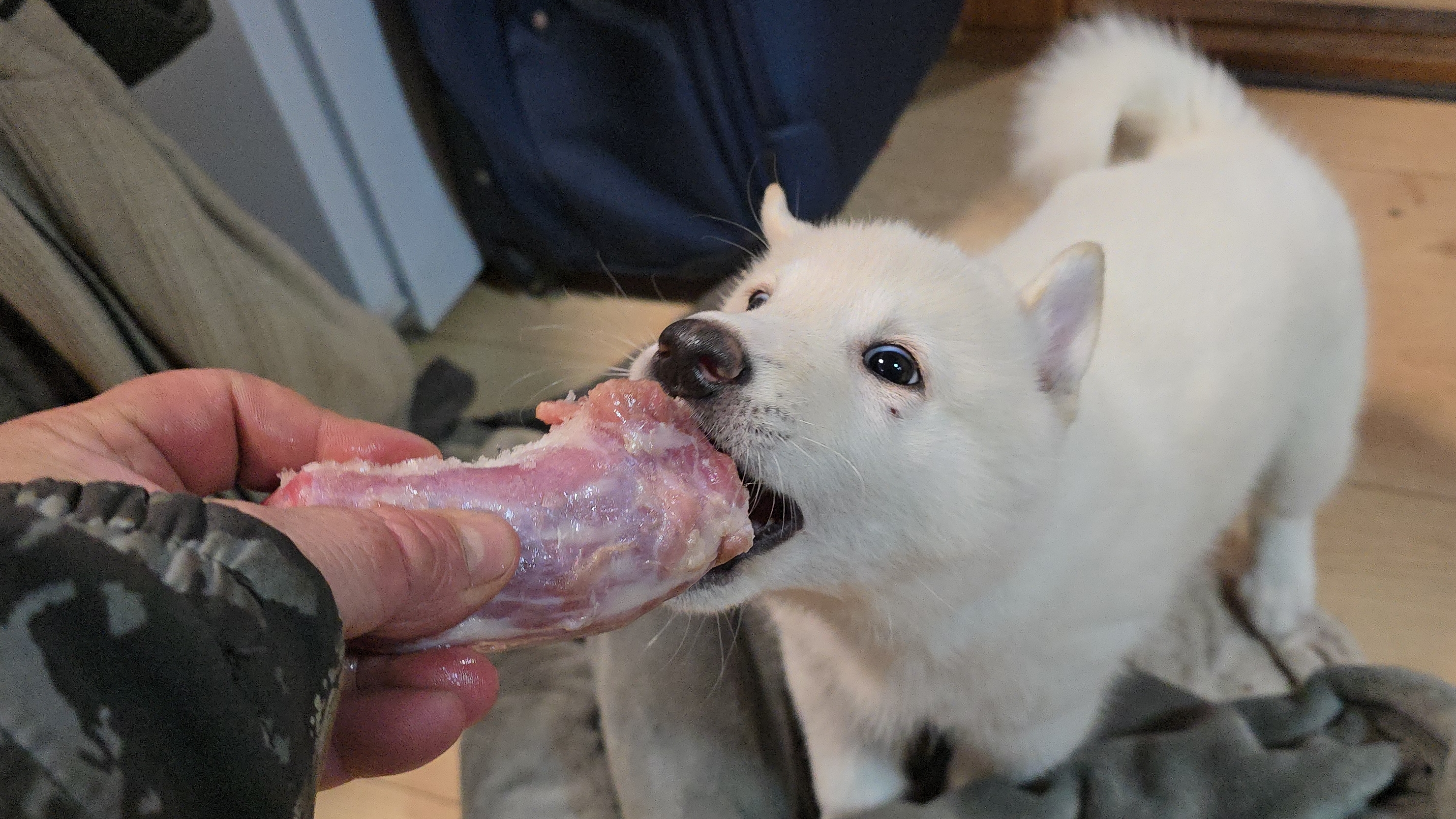 Перед восьмым марта