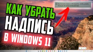 Как убрать "Выполните поиск в Интернете, чтобы узнать больше об этом изображении" в Windows 11